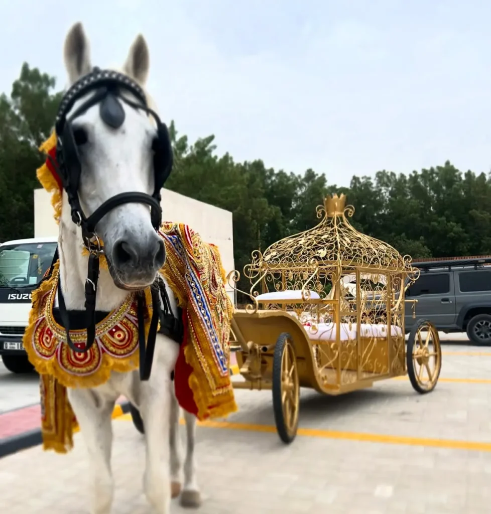 Royal Arrival in a Chariot or Decorated Palanquin