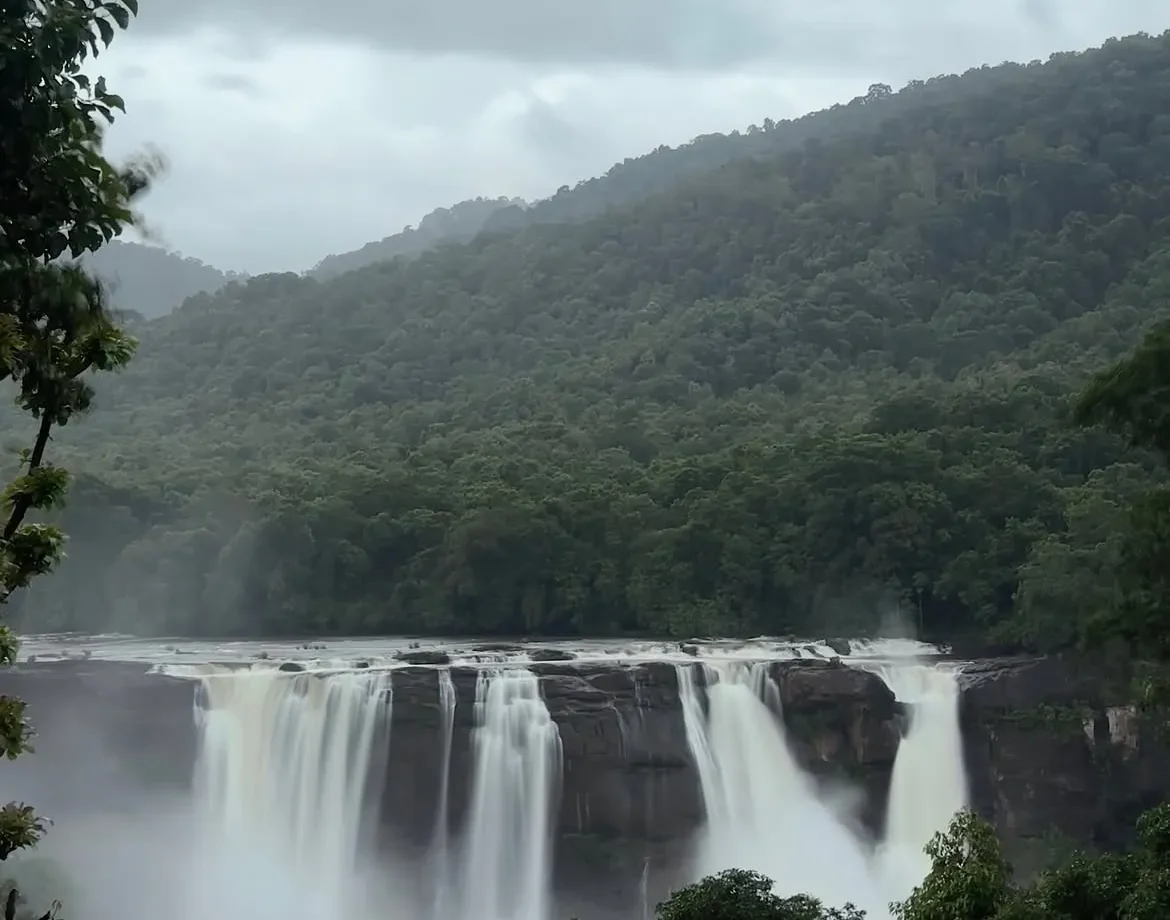 Nature’s most majestic backdrop. Witnessing the roaring beauty of the Athirapilly Waterfalls—where the raw power of the 'Niagara of India' meets the serene, evergreen canopy of Kerala. Truly an unforgettable setting for destination pre-weddings and breathtaking outdoor celebrations