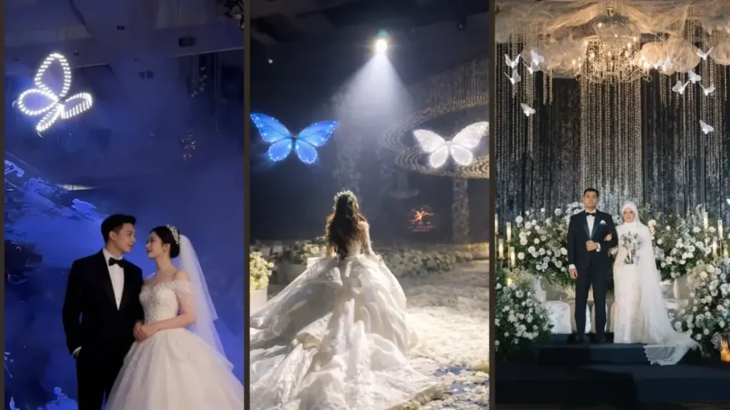 Flying butterfly special effects drone performance for wedding stage design in Kerala