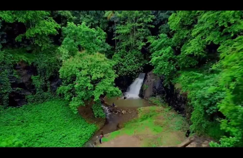 Ambient Cottage in kodakara, Thrissur outdoor for wedding