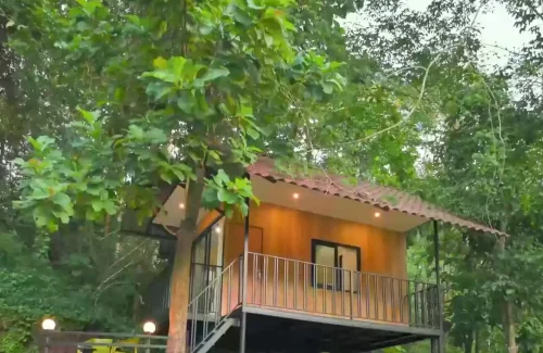 Ambient Cottage in kodakara, Thrissur outdoor for wedding