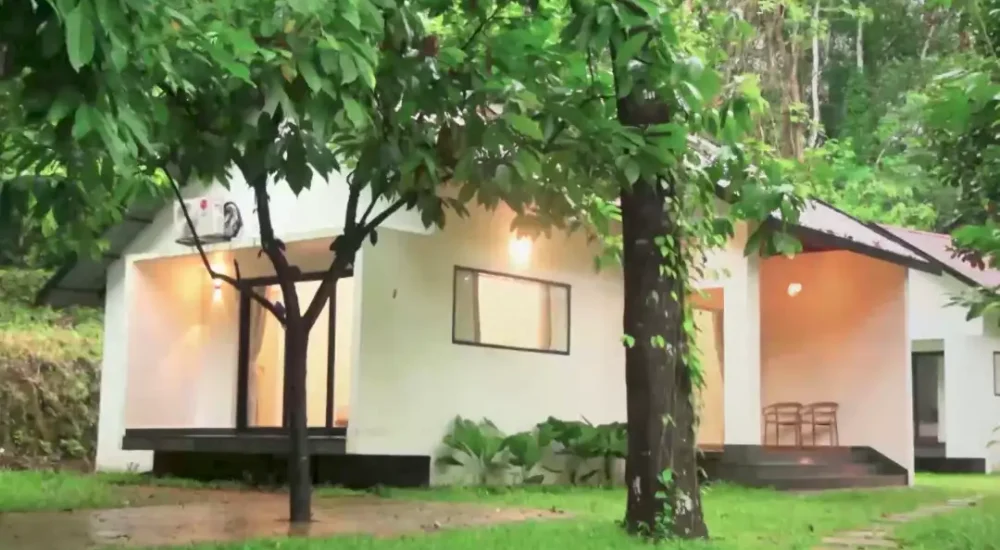 Ambient Cottage in kodakara, Thrissur outdoor for wedding