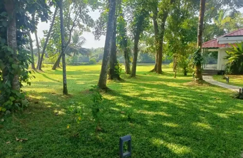 Giby Farm in Mala, Kombathukadavu, Thrissur outdoor for wedding