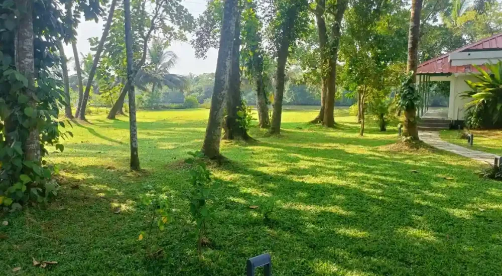 Giby Farm in Mala, Kombathukadavu, Thrissur outdoor for wedding