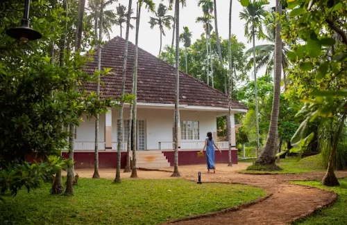 Rivera By Canoly in Kizhuppillikkara,Thanniyam, Thrissur outdoor for wedding