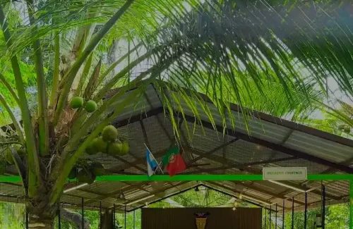 Hill Valley Poomala in Pathazhakundu, Thekkumkara, Thrissur outdoor for wedding