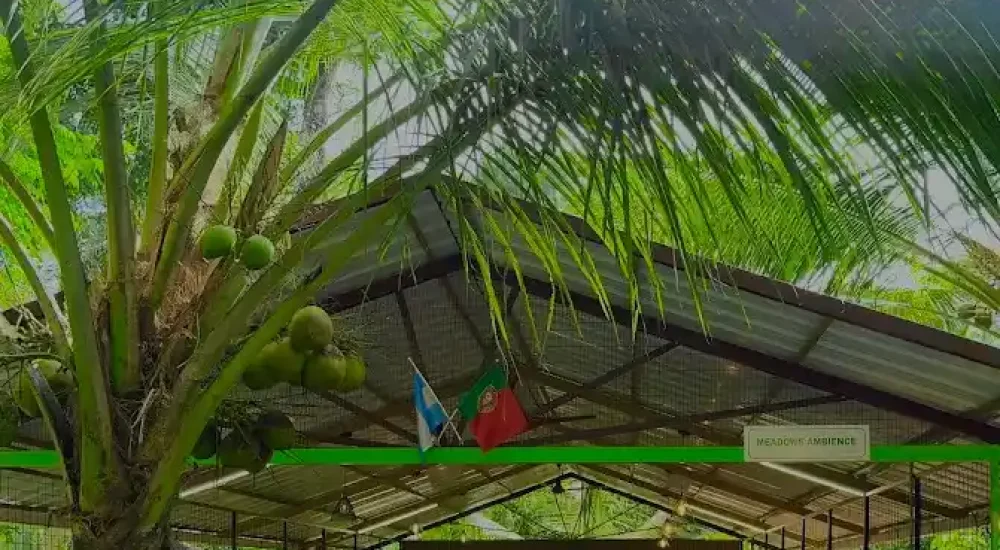 Hill Valley Poomala in Pathazhakundu, Thekkumkara, Thrissur outdoor for wedding