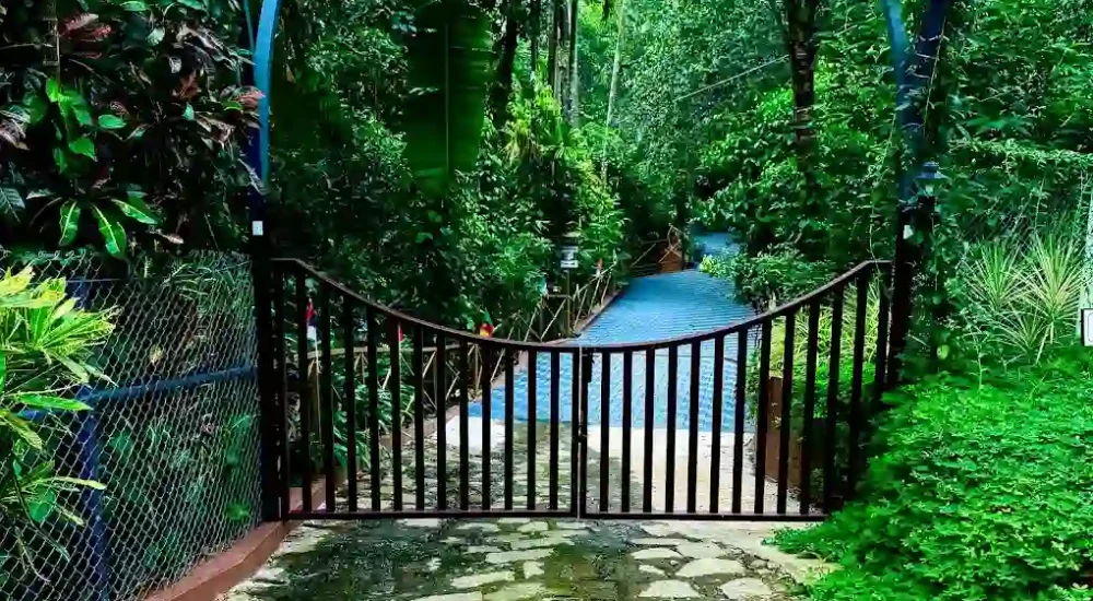 Hill Valley Poomala in Pathazhakundu, Thekkumkara, Thrissur outdoor for wedding