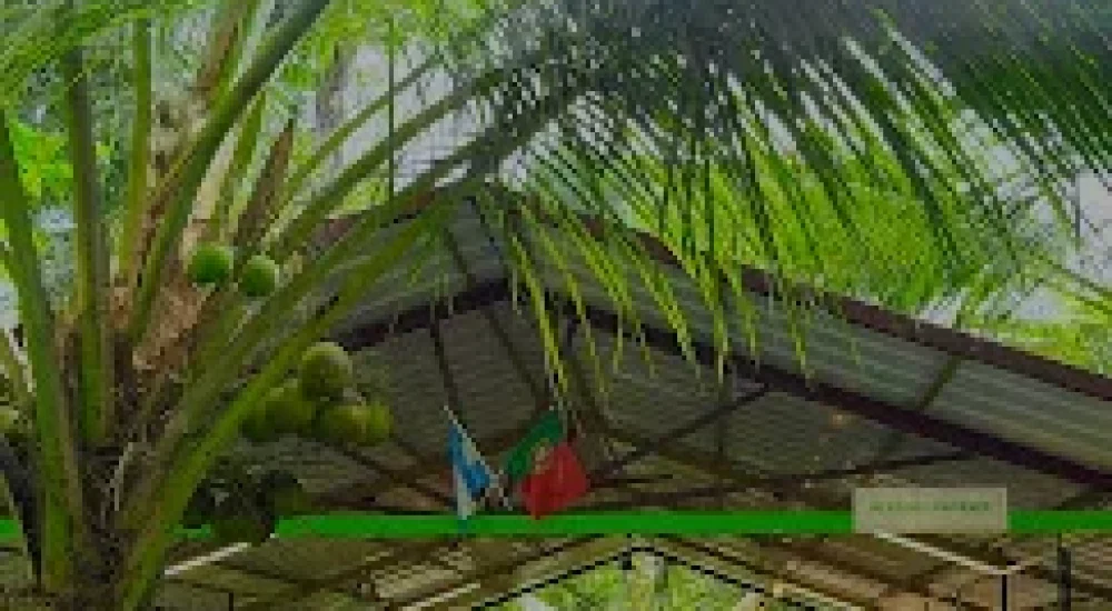 Hill Valley Poomala in Pathazhakundu, Thekkumkara, Thrissur indoor for wedding