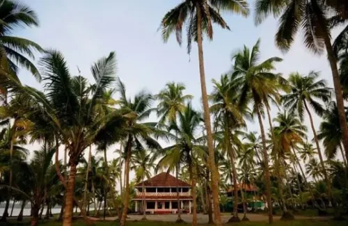 Michaels Land Homestay Resort in Kumbalangi, Kochi outdoor for wedding