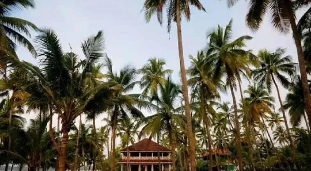 Michaels Land Homestay Resort in Kumbalangi, Kochi outdoor for wedding