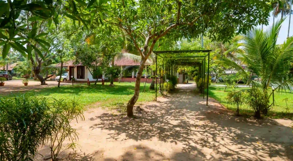 Palm Grove Lake Resort outdoor for wedding