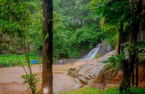 Beautiful outdoor wedding venue in Kodakkara, Thrissur Ambient Xperience