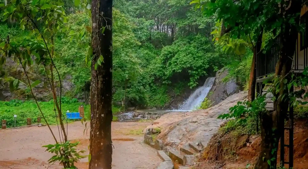 Beautiful outdoor wedding venue in Kodakkara, Thrissur Ambient Xperience