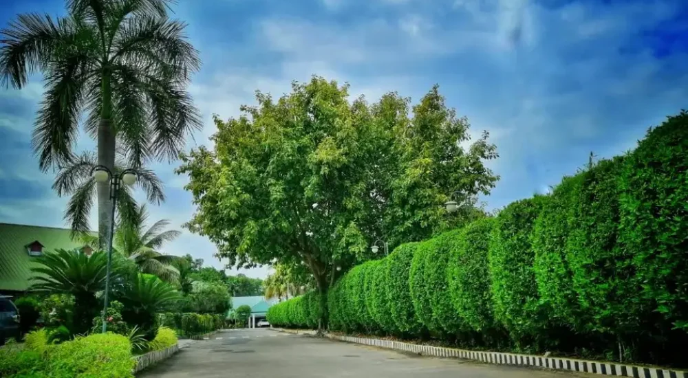 Contour Backwaters Hotel Resort in Changanassery, Kottayam For Wedding