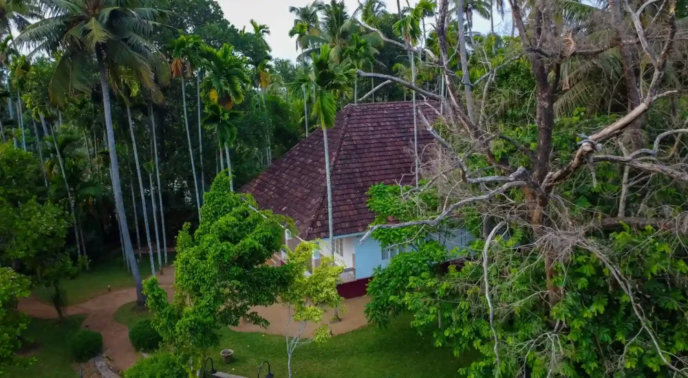 Rivera By Canoly in Kizhuppillikkara,Thanniyam, Thrissur outdoor for wedding