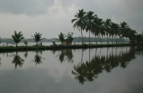 Michaels Land Homestay Resort in Kumbalangi, Kochi outdoor for wedding