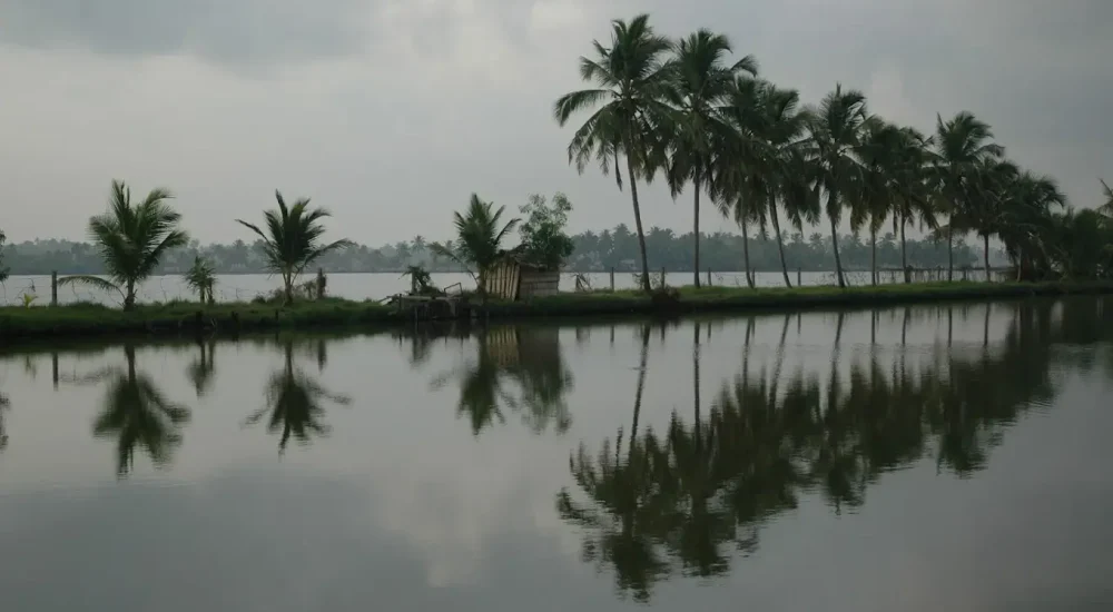 Michaels Land Homestay Resort in Kumbalangi, Kochi outdoor for wedding