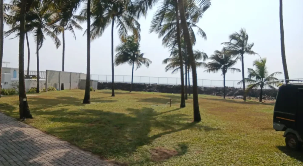 Palm-shaded lawn and coastal boundary at Deja Blu.