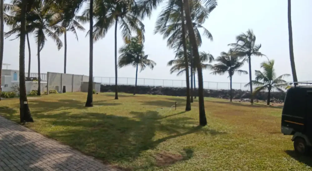 Open green lawn with coconut palms and a paved driveway near the beach wall at Deja Blu.