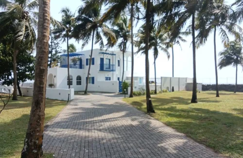 Paved driveway leading to the Greek-style white and blue villa at Deja Blu surrounded by coconut trees.
