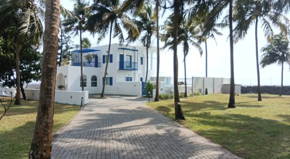 Paved driveway leading to the Greek-style white and blue villa at Deja Blu surrounded by coconut trees.