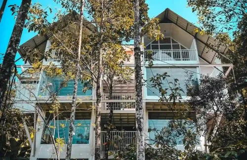 Travellers Cavern Resort Wayanad in Ambalavayal