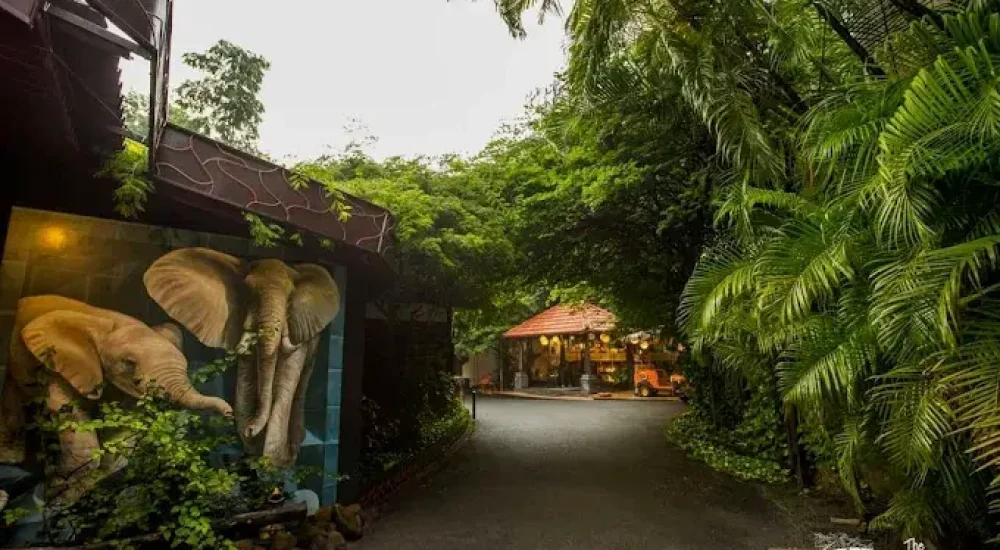 Gazebo Heritage Palakkad For wedding