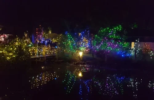 Island D Cochin in Vypin, Kochi for destination wedding