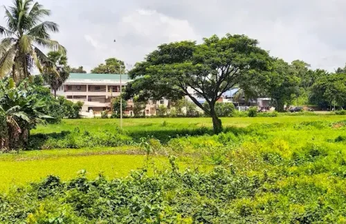 Malaz Convention Centre Palakkad for wedding