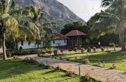 Mango Village in Kollengode,Palakkad For Wedding