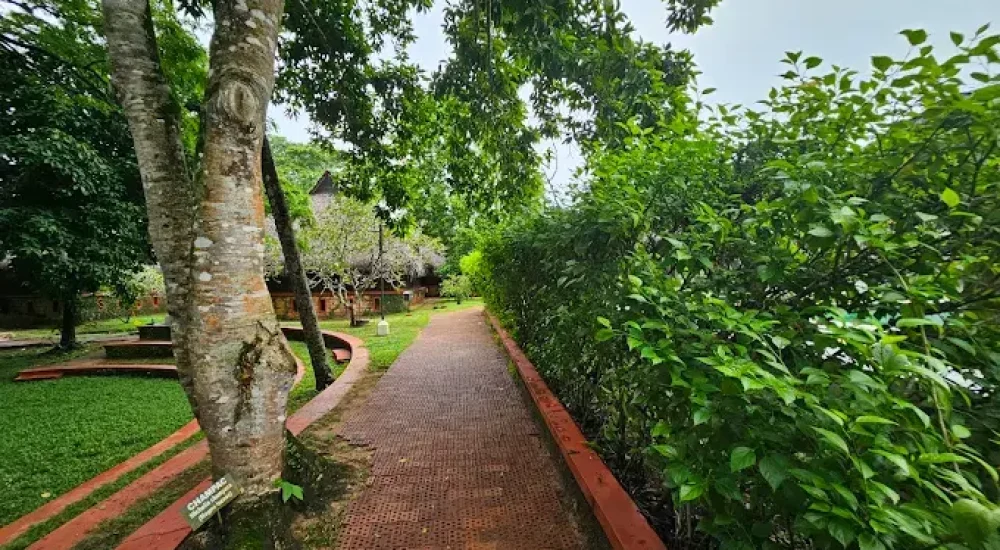 Marari Beach a CGH Earth Experience in Mararikulam, Alleppey OUTDOOR FOR WEDDING