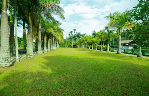 The Hill District Club in Kolagapaara ,Wayanad FOR outdoor wedding