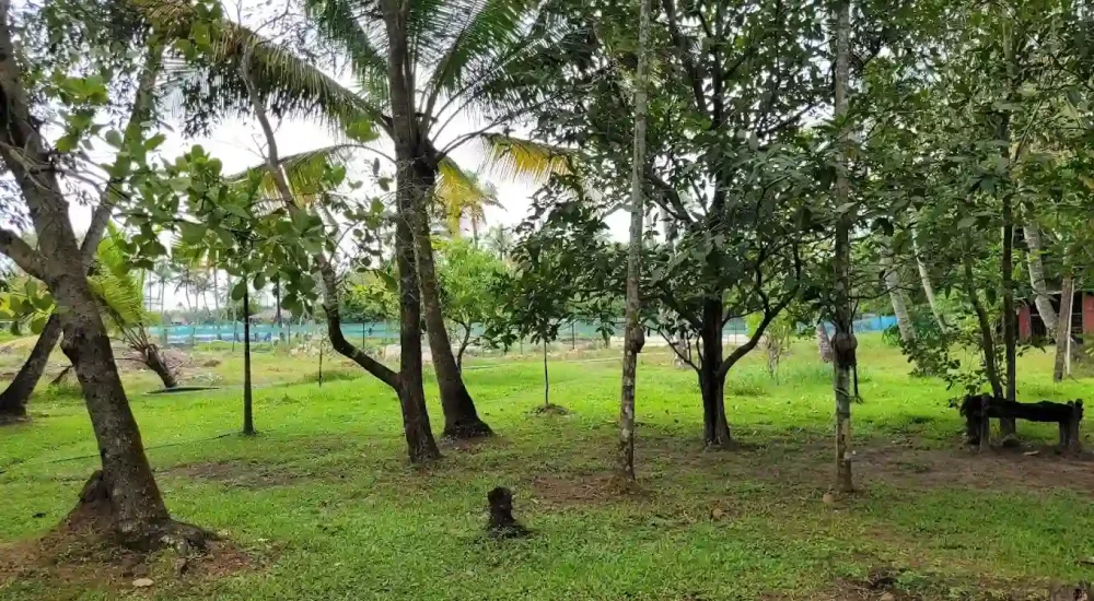 OGs Tharavadu in Panangad, Ernakulam outdoor for wedding