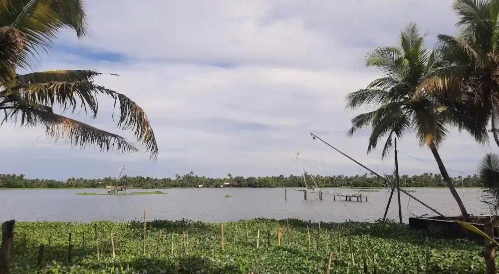 OGs Tharavadu in Panangad, Ernakulam outdoor for wedding