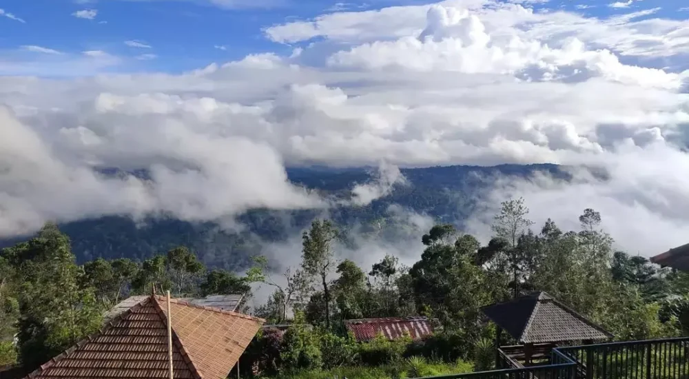 Olive Golden Ridge Resort Munnar,Idukki For Wedding