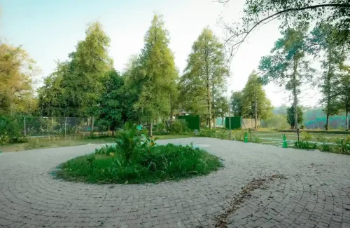 The Estate 64 outdoor For wedding