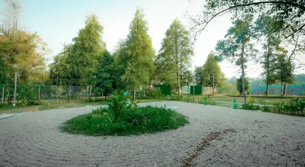 The Estate 64 outdoor For wedding