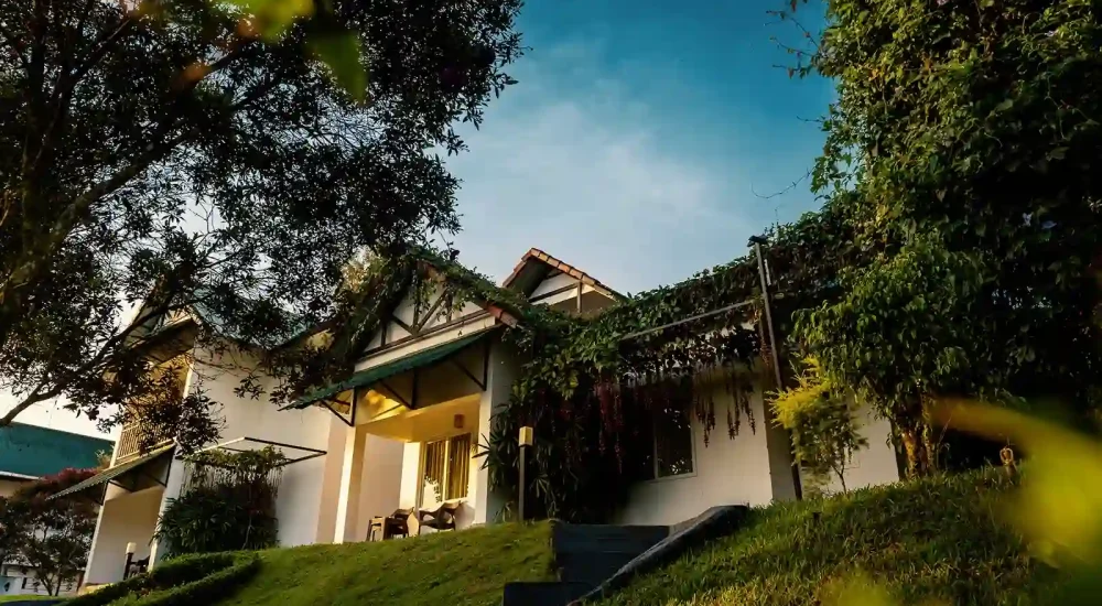 The Leaf Munnar Resort For Wedding