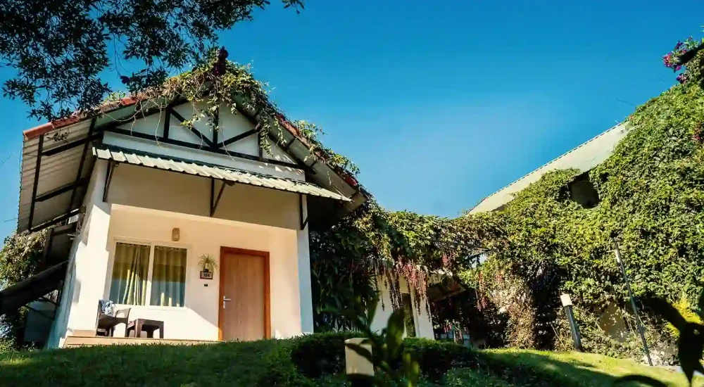 The Leaf Munnar Resort For Wedding