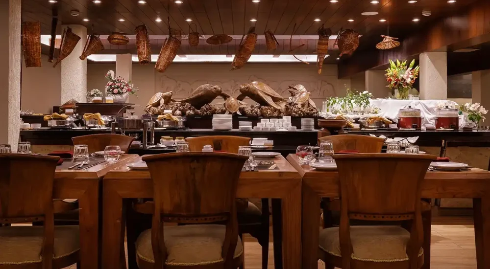 Turtle On The Beach in Kovalam, Thiruvananthapuram for wedding