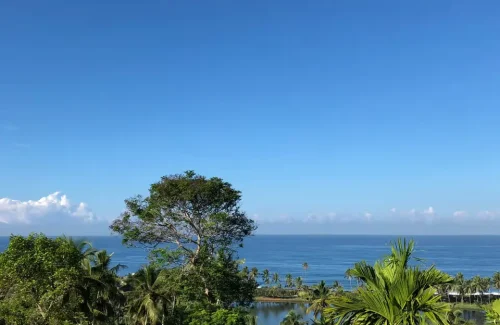 Vivanta by Taj Green Cove Thiruvananthapuram for wedding