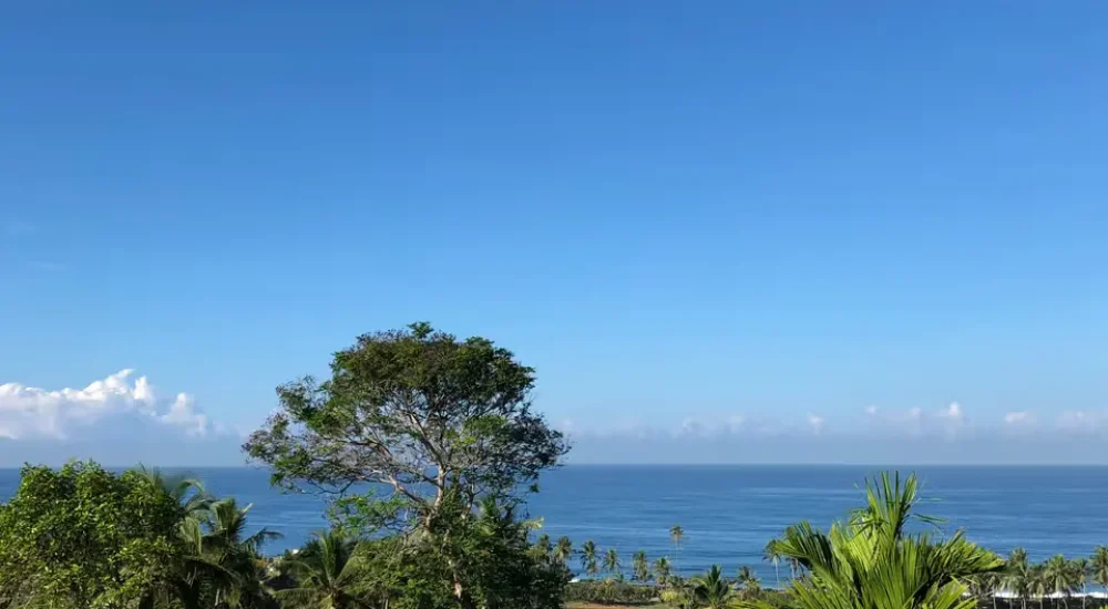 Vivanta by Taj Green Cove Thiruvananthapuram for wedding