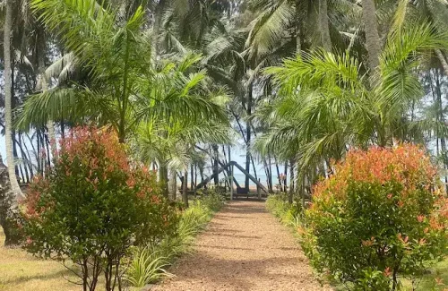 Yantra Ayurvedic Beach Resort outdoor in Nattika, Thrissur for beach wedding