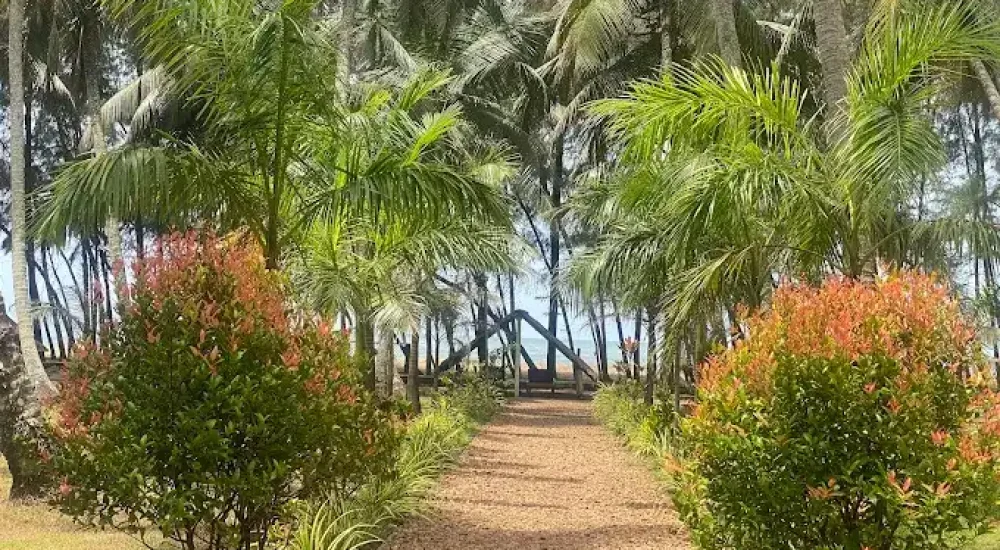 Yantra Ayurvedic Beach Resort outdoor in Nattika, Thrissur for beach wedding