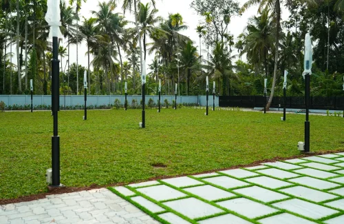 Daytime view of the green open-air reception lawn surrounded by coconut palms at Coconut Groves Kanjiramattom.