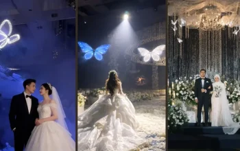 Flying butterfly special effects drone performance for wedding stage design in Kerala