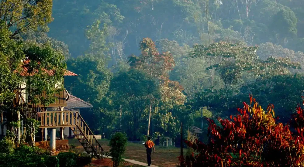 Eletaria Resort in Vandanmedu, Thekkady, Idukki For Wedding