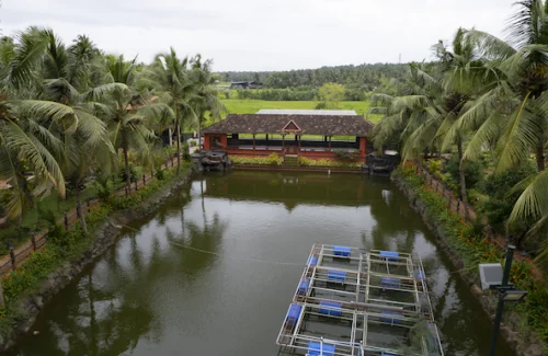 Farm Rock Garden in Chungam Junction, Calicut for destination wedding