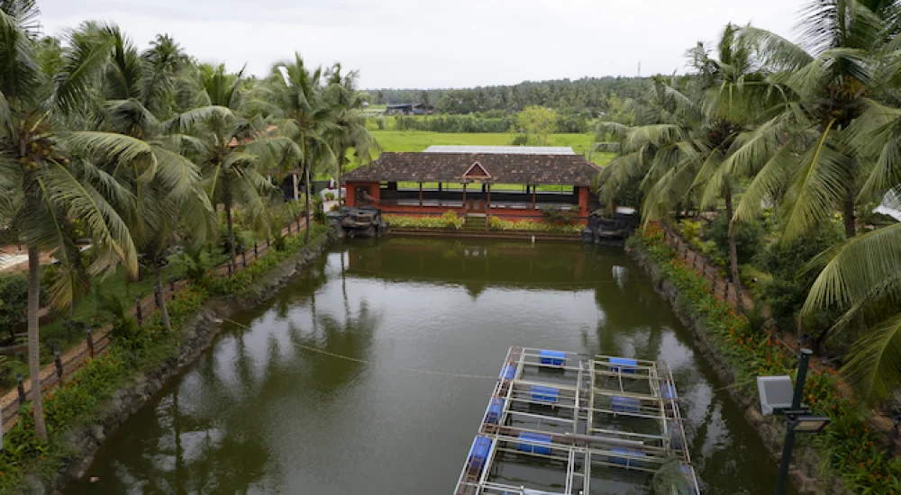 Farm Rock Garden in Chungam Junction, Calicut for destination wedding